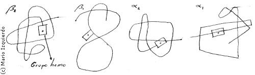 Estructura ternaria de las proteinas