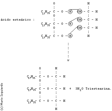Acido Esteárico y Triestearina