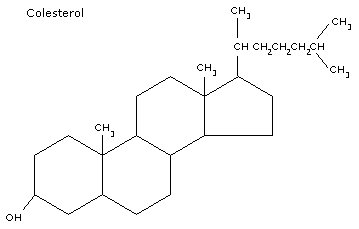 Colesterol