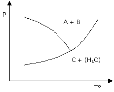 Reacción Silicatos