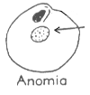 Anomia