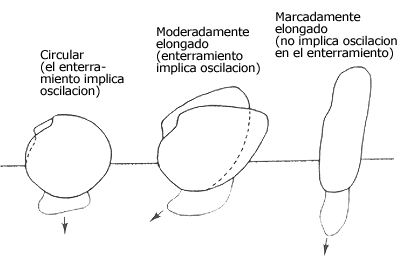 Seno Paleal - Perforación