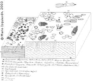 Reconstrucción Paleoecológica