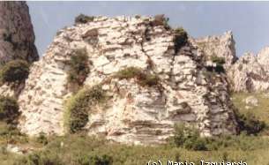 Vandellós: Detalle de dolomías estratificadas