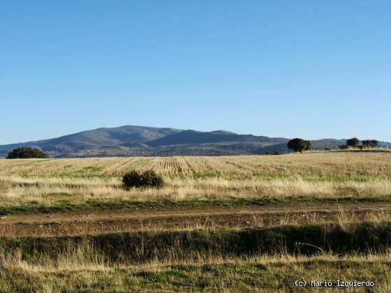 Gallegos de Sobrinos: Horst de la Sierra de Avila