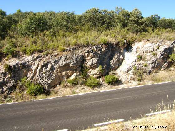 Sierra de Altomira: Cretácico