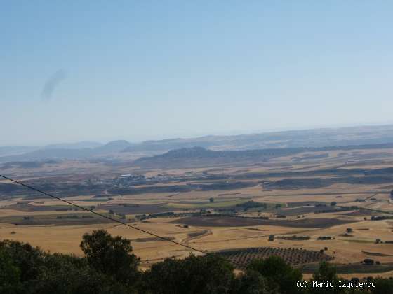 Sierra de Altomira: Cretácico