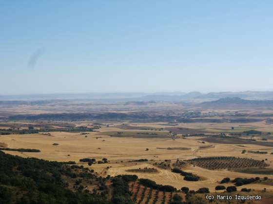 Sierra de Altomira: Cretácico