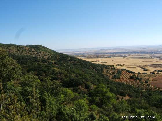 Sierra de Altomira: Cretácico