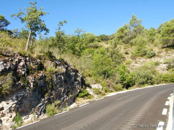 Sierra de Altomira: Cretácico