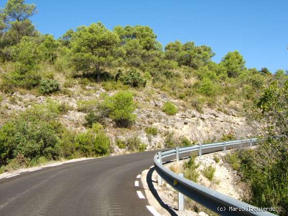 Sierra de Altomira: Cretácico