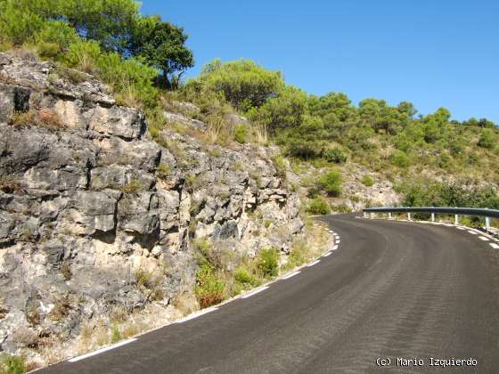 Sierra de Altomira: Cretácico