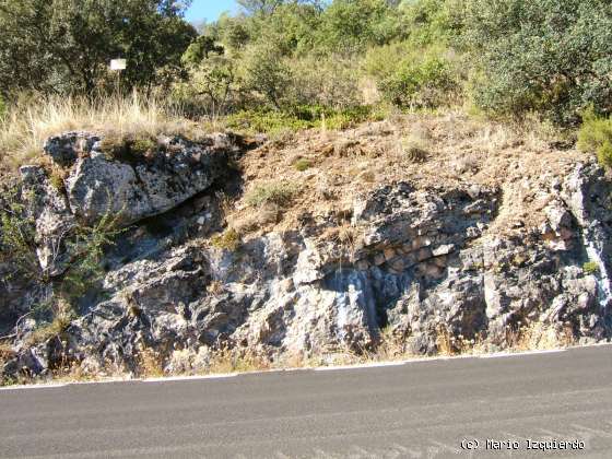 Sierra de Altomira: Cretácico