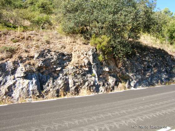 Sierra de Altomira: Cretácico