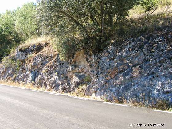 Sierra de Altomira: Cretácico