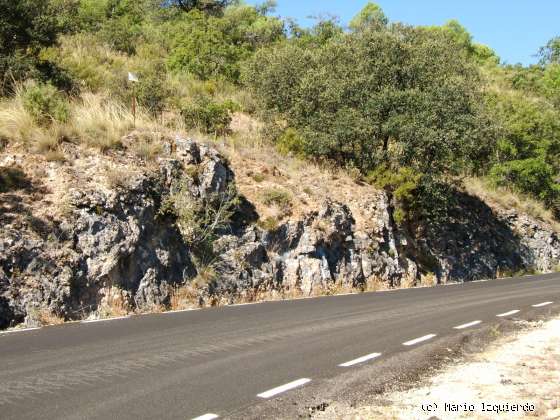 Sierra de Altomira: Cretácico