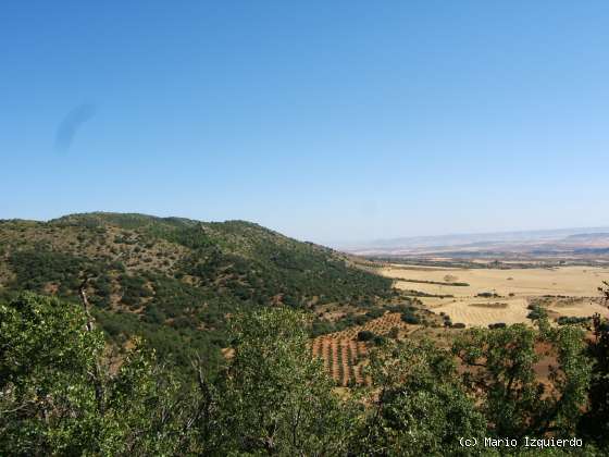 Sierra de Altomira: Cretácico