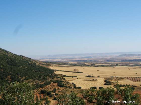 Sierra de Altomira: Cretácico