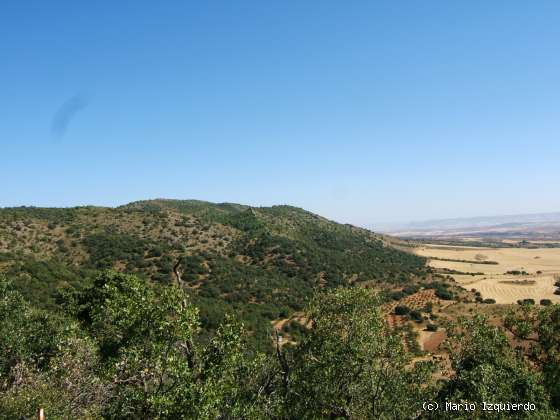 Sierra de Altomira: Cretácico