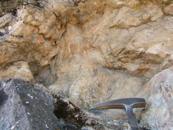 Sierra de Altomira: Cretácico