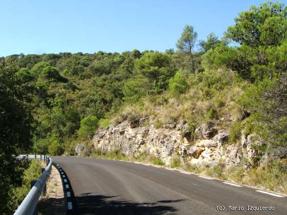 Sierra de Altomira: Cretácico