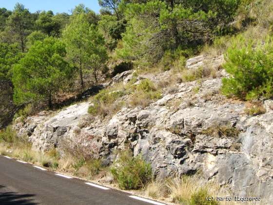 Sierra de Altomira: Cretácico