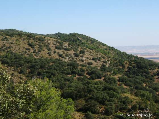 Sierra de Altomira: Cretácico