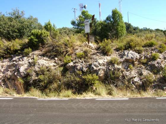 Sierra de Altomira: Cretácico