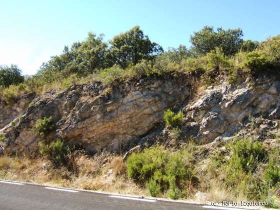 Sierra de Altomira: Cretácico