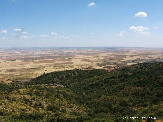 Sierra de Altomira: Cretácico