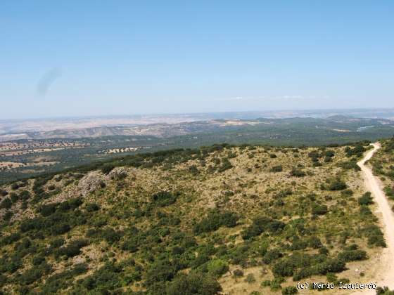 Sierra de Altomira: Cretácico