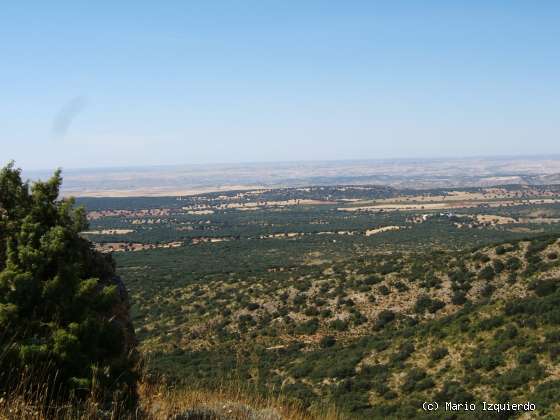 Sierra de Altomira: Cretácico