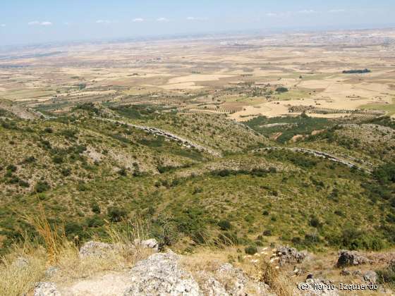 Sierra de Altomira: Cretácico