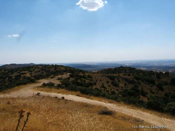 Sierra de Altomira: Cretácico