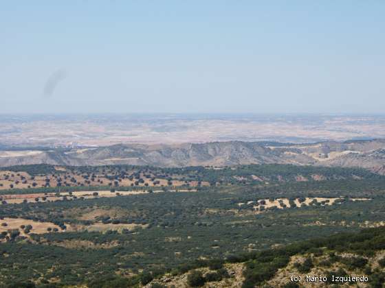 Sierra de Altomira: Cretácico