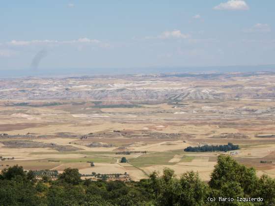 Sierra de Altomira: Cretácico