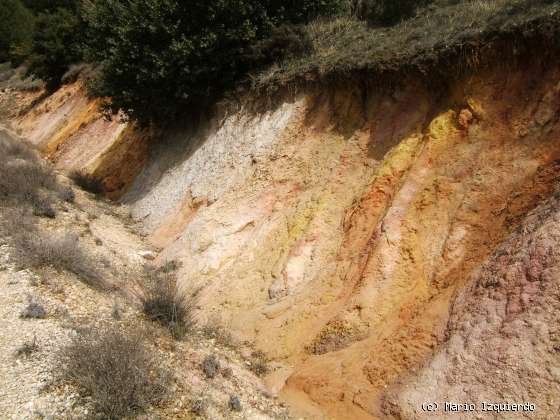 Barbadillo del Mercado: Arcillas versicolores del Albiense