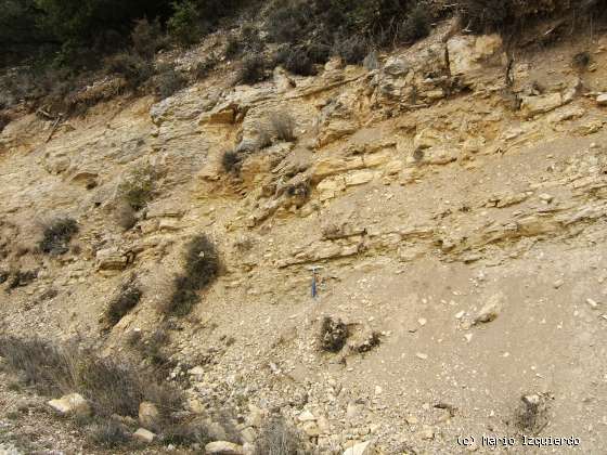 Barbadillo del Mercado: Mesas y relieve invertido