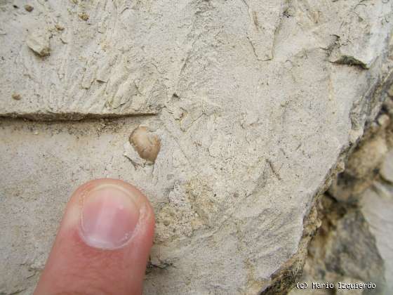 Barbadillo del Mercado: Mesas y relieve invertido