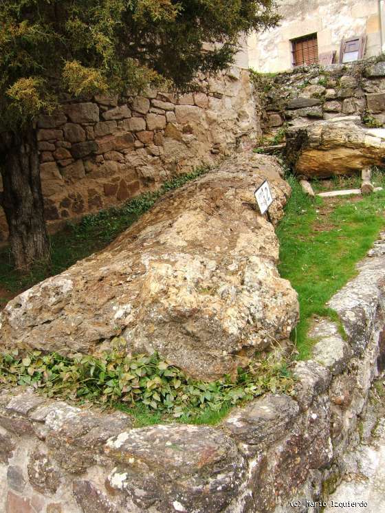 Hacinas: Restos de troncos mesozoicos