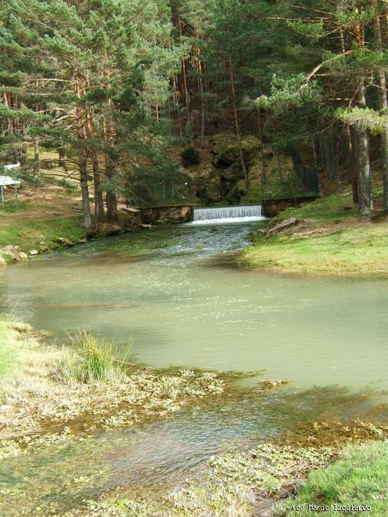 Quintanar de la Sierra: Río Arlanza - Surgencias