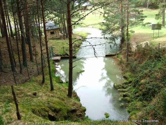 Quintanar de la Sierra: Río Arlanza - Surgencias