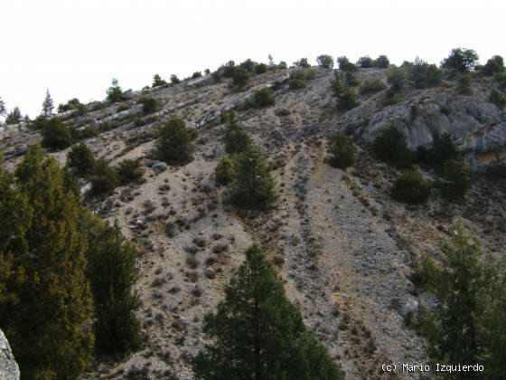 Santo Domingo de Silos: Cañon de Río Mataviejas