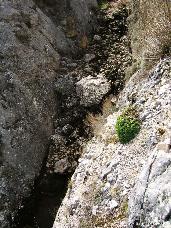 Santo Domingo de Silos: Cañon de Río Mataviejas