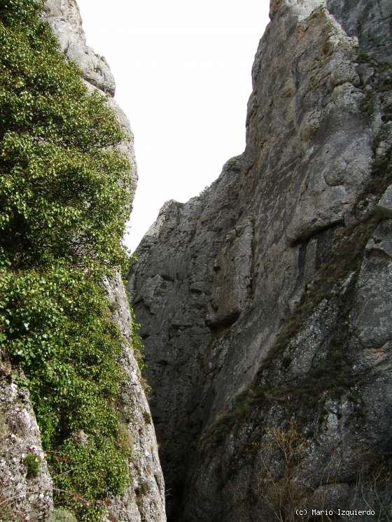 Santo Domingo de Silos: Desfiladero de Yecla