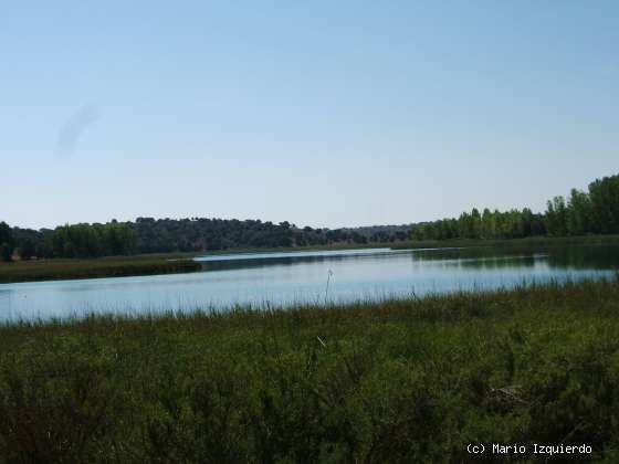 Ruidera: Laguna Tomilla