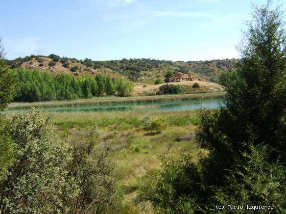 Ruidera: Laguna Tomilla