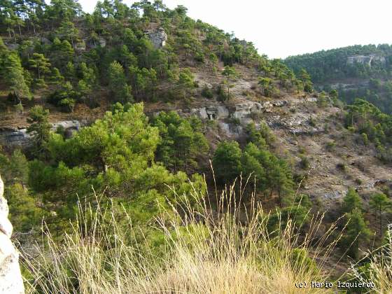 Valdecabras: Facies Weald - Utrillas