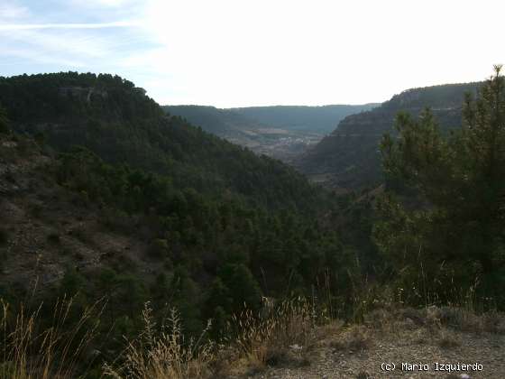 Valdecabras: Facies Weald - Utrillas