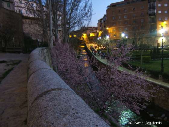 Cuenca (ciudad)